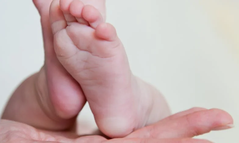 Kad se Ivan vratio: Neočekivani povratak nakon izdaje