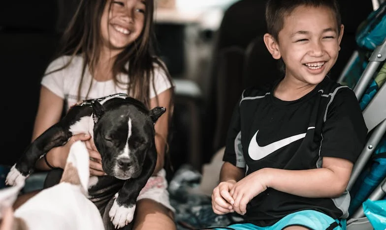 Kad se prošlost vrati: Priča o oprostu i obiteljskim tajnama