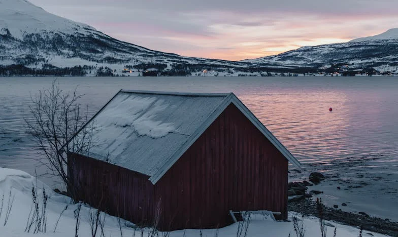 Kada se obitelj pretvori u suživot: Moja priča s Lejlom