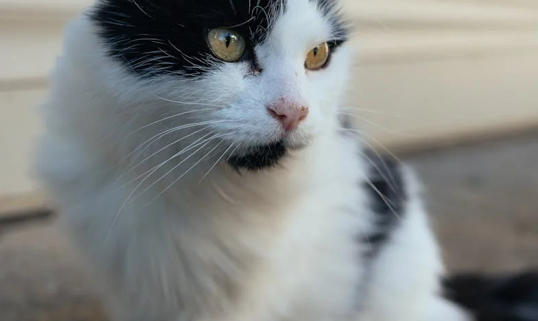 Nakon razvoda ostala sam bez doma – sada gradim novi život, ali strah me da opet ne izgubim sve