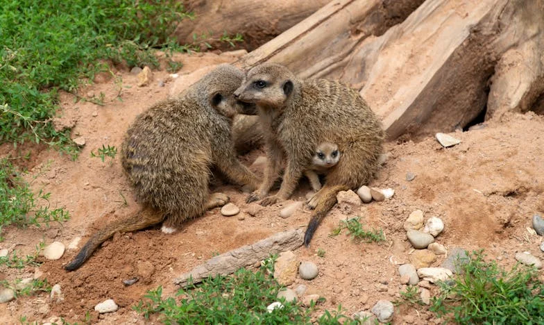Ostavili su me da umrem – a onda je stiglo to jedno, prokleto pismo. Priča Daria iz Zagreba