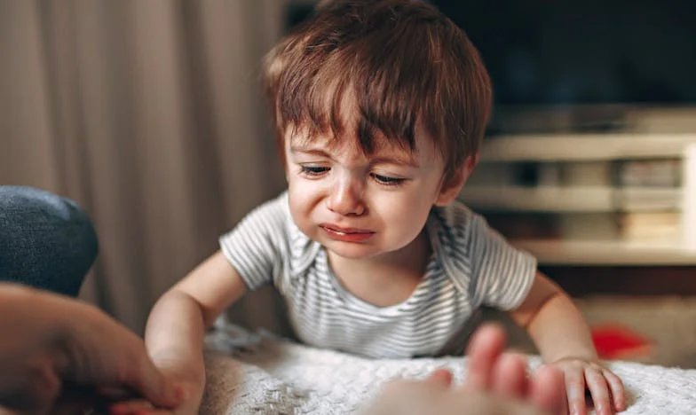 Plamen na vjetru: Ispovijest iz bosanske porodice