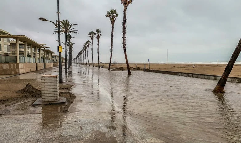 Rekla sam joj: 'Ako imaš imalo savjesti, barem jednom operi suđe' – Moj sin tvrdi da mu uništavam obitelj