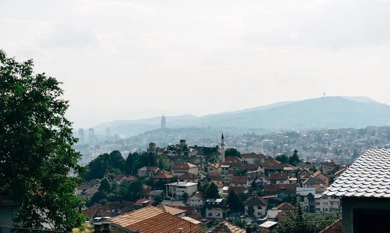 Samo Dva Dana: Priča o Psu i Praznini