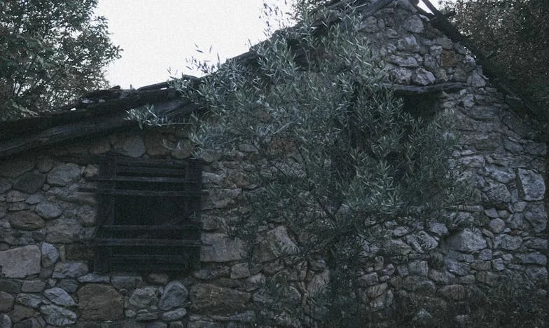 Godine truda u tuđini: Kupila sam djeci domove, a sada me ne žele primiti