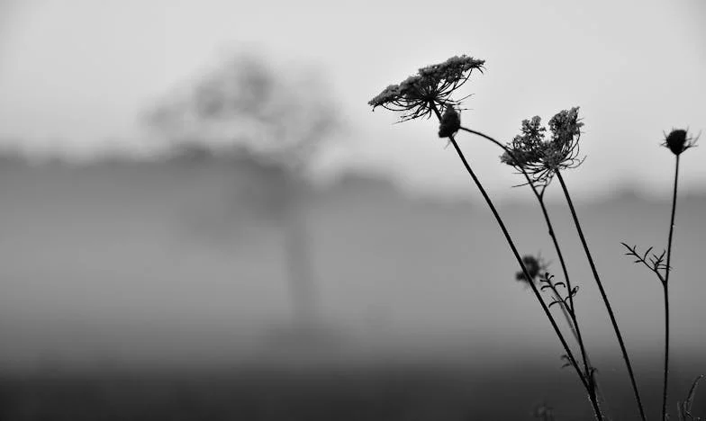Ispod površine: Istina koju krijemo