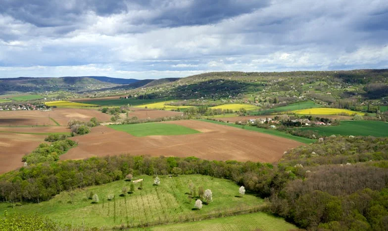 Moj brat ima 43 godine, nije oženjen, a mislim da mama ima prste u tome