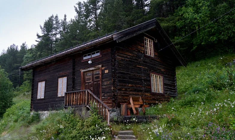 Sad je red na tebe da nam pomogneš s renovacijom