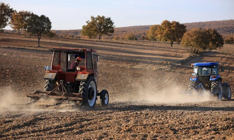 Volio je, ali ne mene: Priča o neuzvraćenoj ljubavi u braku