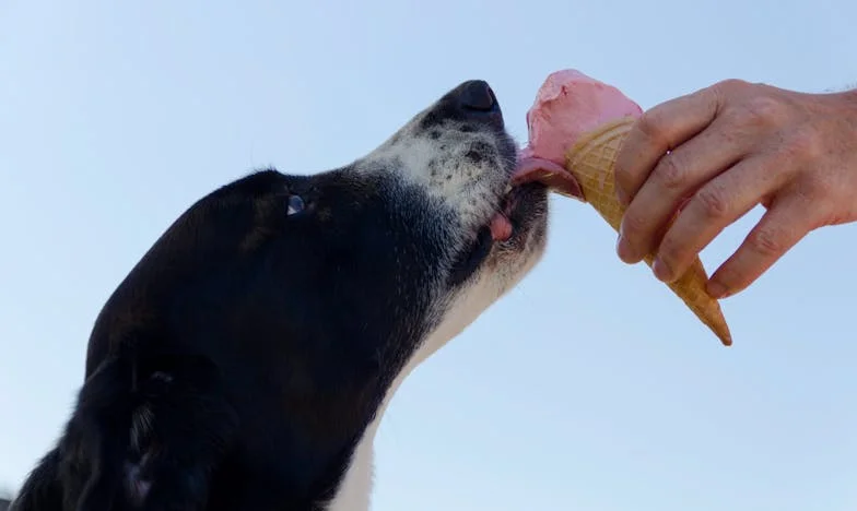 Když slova bolí víc než rány: Příběh o zradě a hledání vlastní hodnoty
