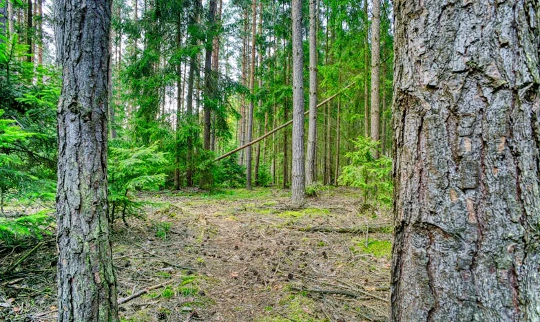 Museli jsme vyměnit zámky, aby tchyně nemohla dál ničit náš domov