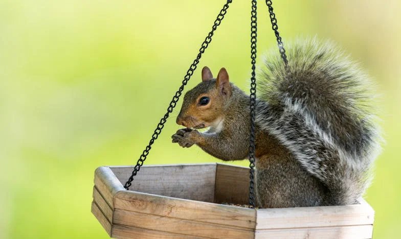 Když rodina praská: Rozhodnutí, které nás rozdělilo