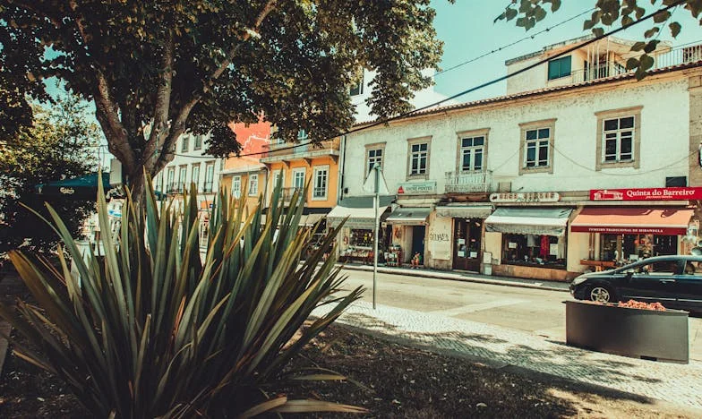 Když se tchyně rozhodla omládnout: Příběh jednoho vlasového fiaska