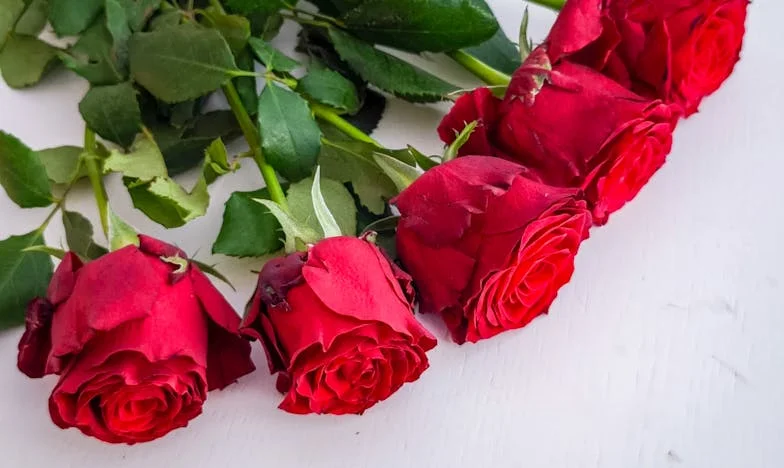 Můj muž, skrblík: Sním o rozvodu
