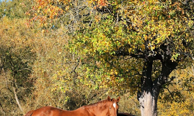 Babička seděla sama v chladném domě, pronásledovaná slovy své dcery: „Už tě nepotřebujeme“
