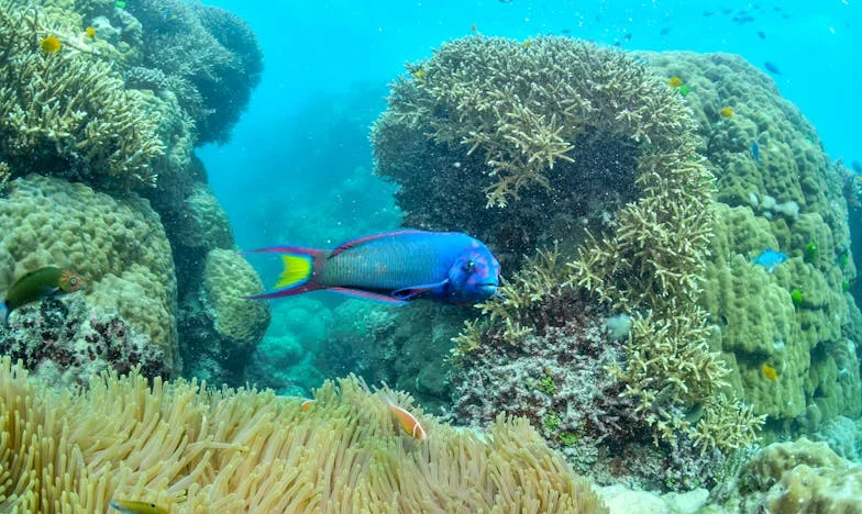 Matčina Pravda: Když Láska Nestačí