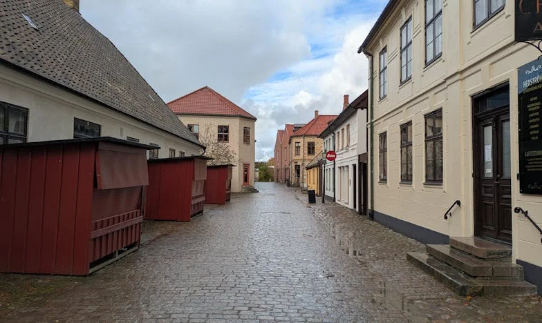 Nezvaná návštěva: Tchynina stín v mém domě