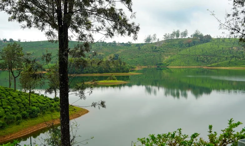 Stín na chodníku a pravda, kterou nikdo nechtěl slyšet: Příběh o ztracené důvěře a odvaze mluvit