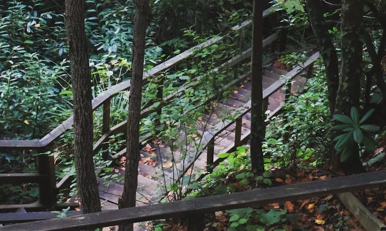 Stín v našem domě: Příběh ženy, která ztratila manžela, aniž by zemřel