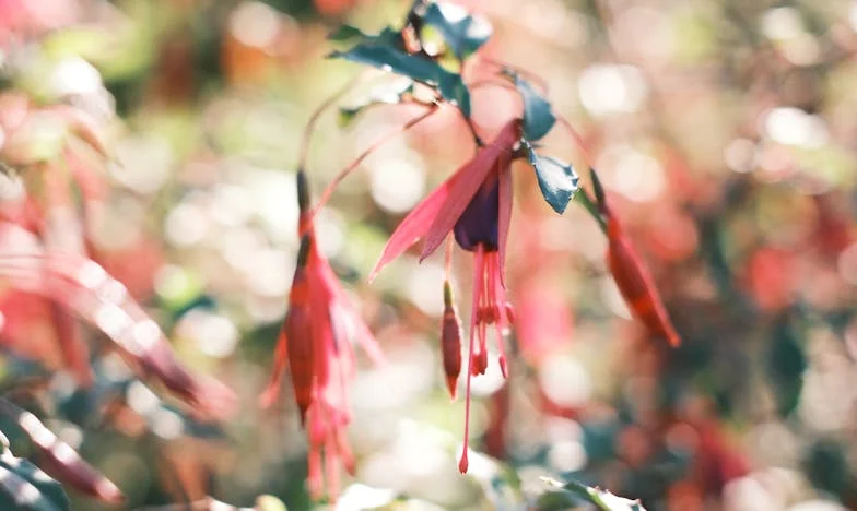 Bohatství rodičů není moje, ale bolest z jejich lhostejnosti ano: Příběh dcery, která se odmítla zlomit