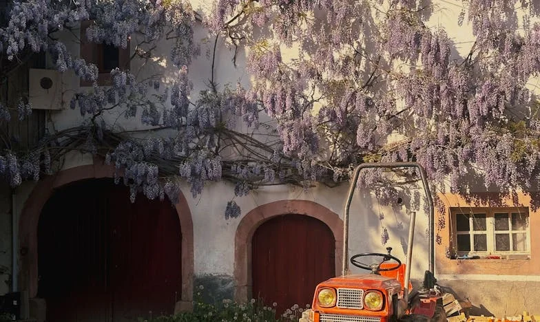 Co teď? Můj syn si vybral nejhorší možnost: První setkání s jeho budoucím tchánem mi změnilo život