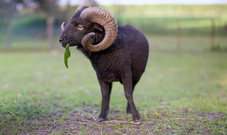 Když domov přestane být domovem: Rozhodnutí, které změnilo vše