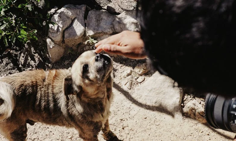 Když nemoc dcery odhalila tajemství: Příběh českého otce, který musel začít znovu