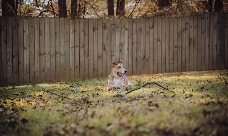 Když osud roztrhá sny: Příběh Martiny a Daniela, jejichž láska byla vystavena nejtvrdší zkoušce