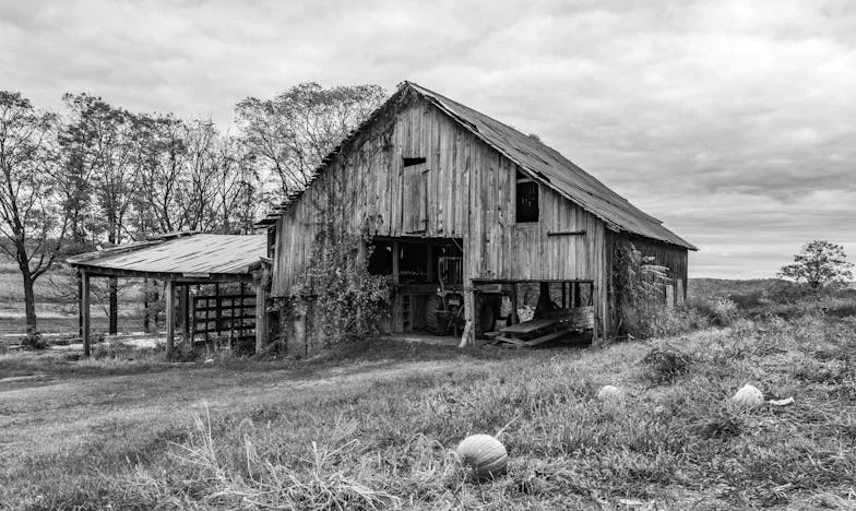 Léto, kdy se všechno změnilo: Tajemství naší rodiny u Máchova jezera