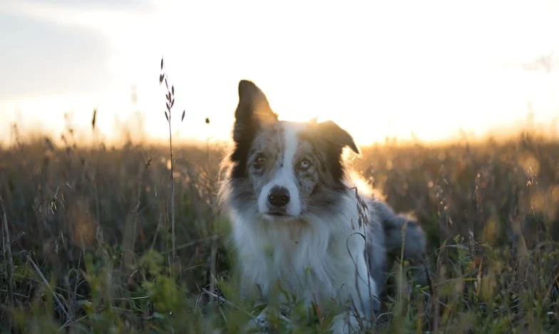 Minuta zpoždění, večeře v tahu: Život pod hodinami mé tchyně