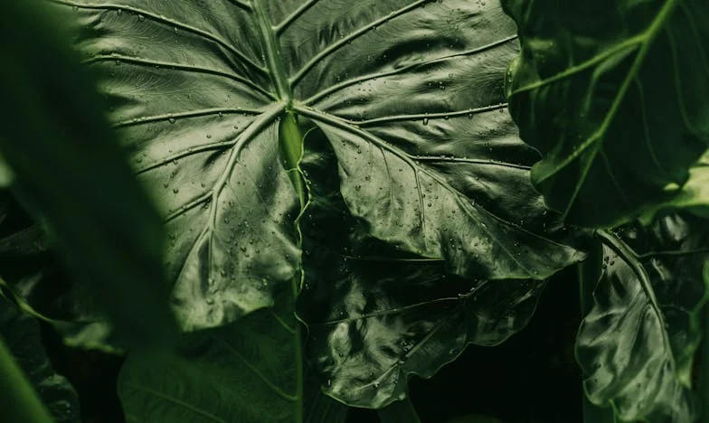 Modlitba mezi zdmi: Příběh jedné matky v rozbouřené rodině