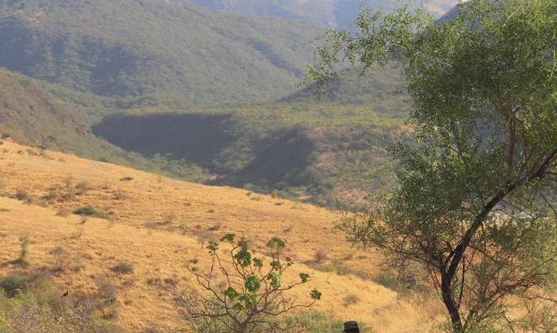 Můj muž, duch v domě: Boj o vlastní místo v české rodině