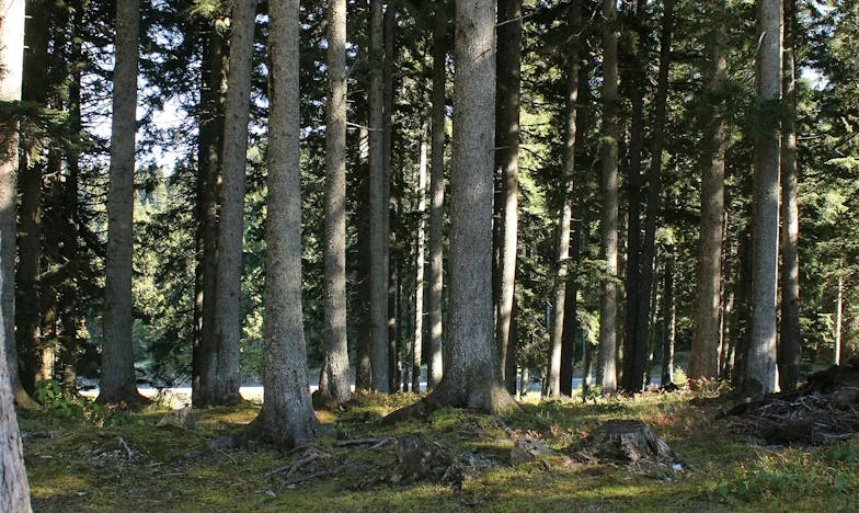 Můj muž si stěžuje, že nevařím jako jeho kamarádova žena: Nechápe, jak odlišné jsou naše životy