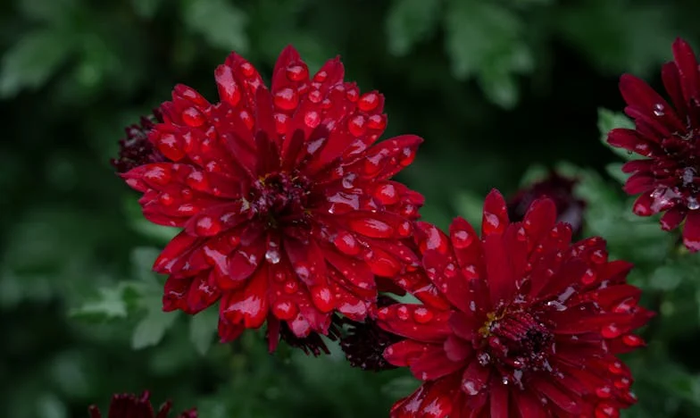 Můj syn mi nabízí peníze za úklid jeho bytu: Kde jsme se to ocitli?