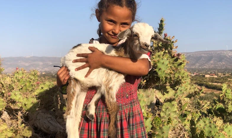 „Nakup si sám a vař si, už tě dál živit nebudu.“: Příběh o zlomu v manželství