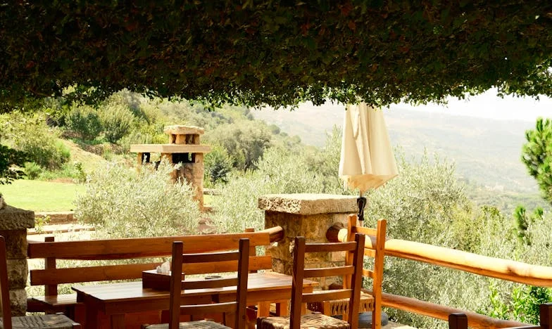 Nedělní ráno, které změnilo všechno: Návrat ztracené sestry po třiceti letech