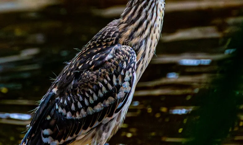 Nejsem jen babička: Když jsem dceři řekla, že mám svůj život