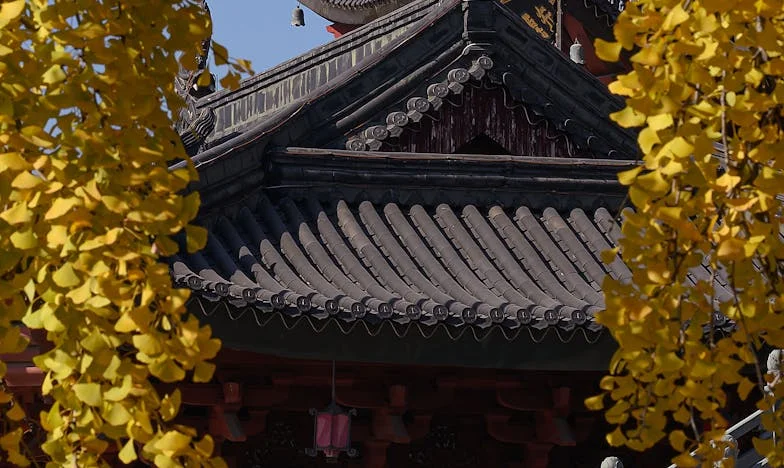 Osmnáct let kávy a ticha: Pravda, kterou jsem zjistila, když zmizel pan František