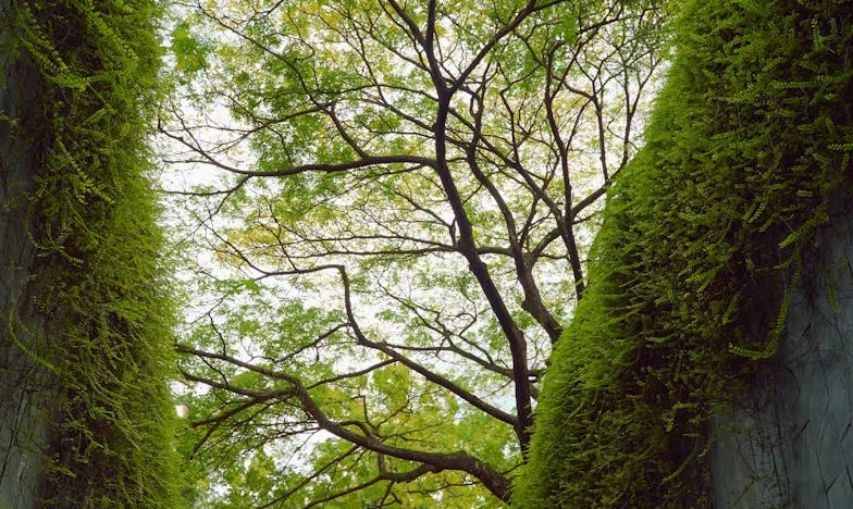 Po dvaceti letech ticha: Pravda, která roztrhla mé srdce