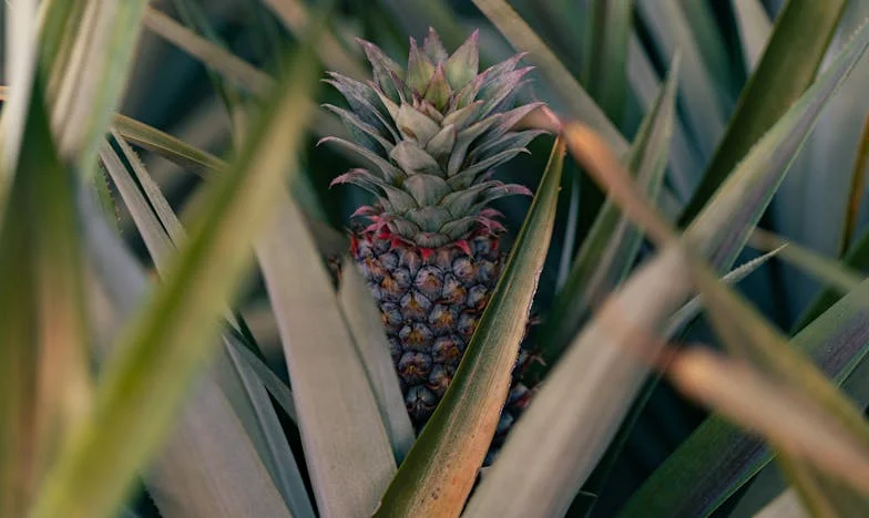 Po padesátce jsem myslela, že už mě nic nepřekvapí. Ale pak jsem zjistila, že můj muž miluje jinou…