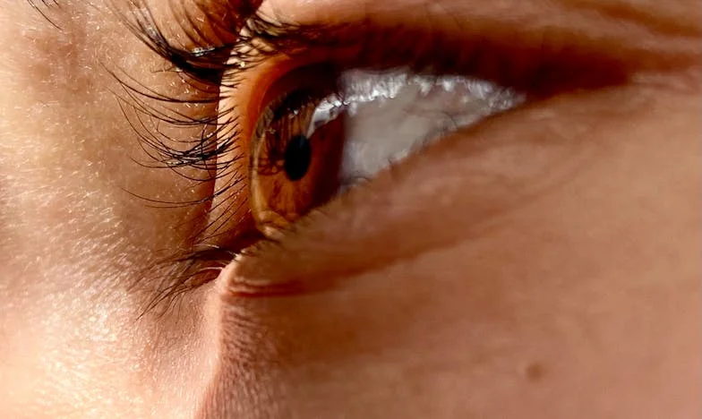 Poslední kousek koláče: Příběh o pýše, studu a rodinných ranách