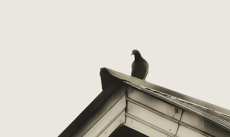 Prazdná lednice, plná starostí: Příběh matky a syna, který nechce odejít