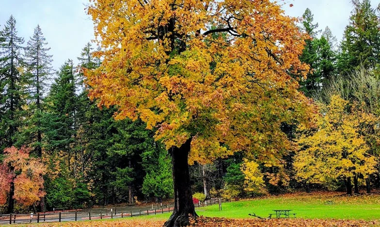 Tři děti za rok – Jak přežít, když se vám život rozpadá pod rukama?