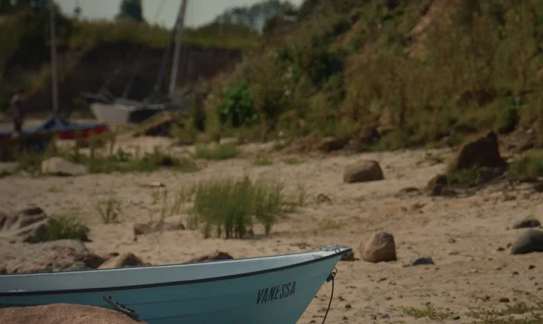 Ve stínu tchyně: Příběh české rodiny na hraně přežití