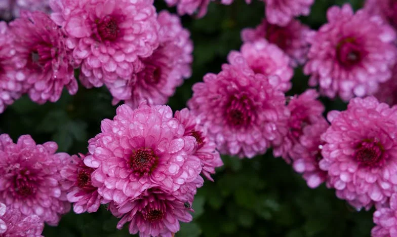 Ztracená ve stínu lásky: Příběh Jany