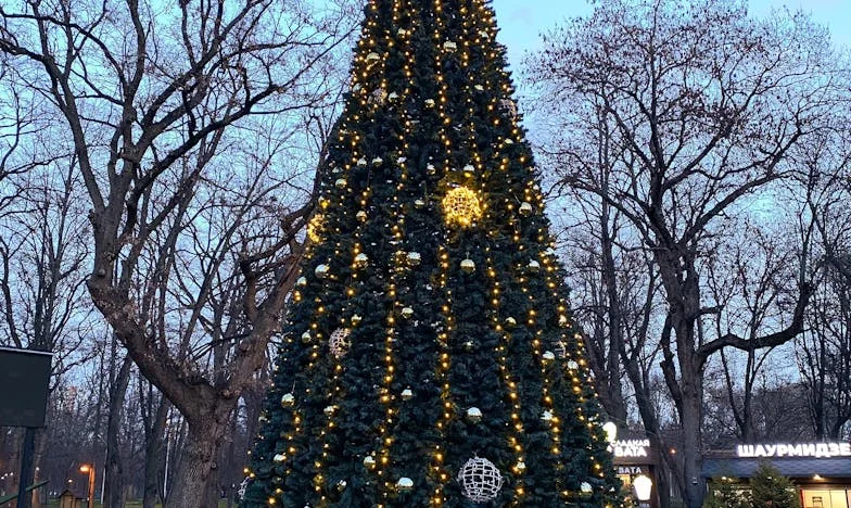 Dům, který nebyl jen náš: Když se rodina neptá