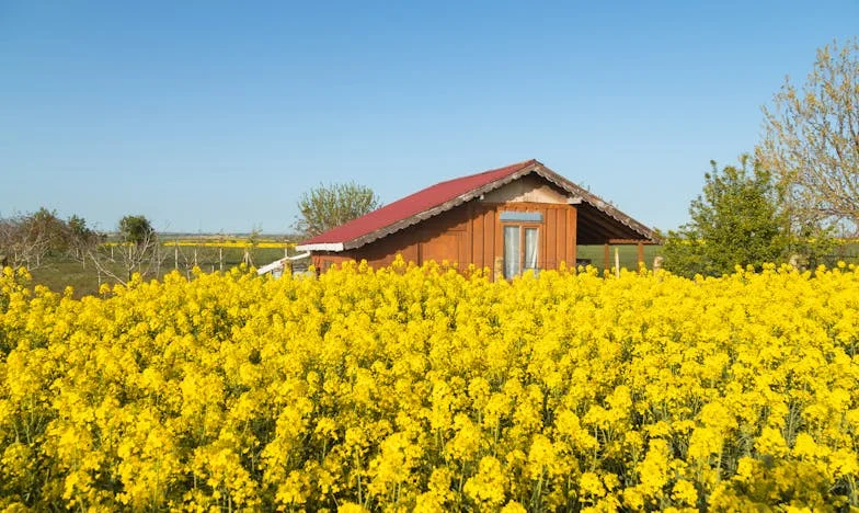 Jak roky plynuly a děti se staly cizinci: Příběh ztracené blízkosti