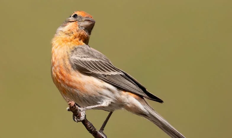 Když domov přestane být domovem: Příběh zrady a odpuštění v české rodině