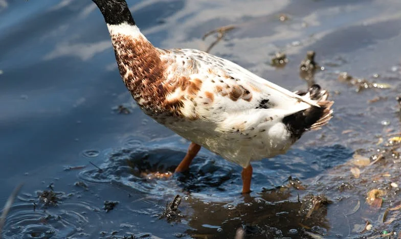Když se rodina rozpadá: Příběh matky, která ztratila svého syna