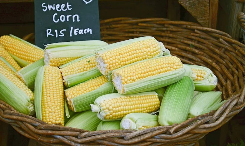 Koupila jsem dům v Česku, ale rodina zetě nám ničí klid: Vyrůstají mé vnoučata ve stínu toxických prarodičů?